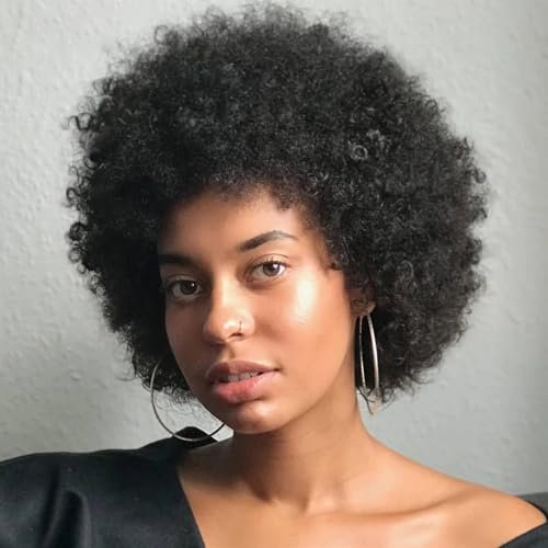 Iianaebeh Afro Wig - Short Kinky Curly Human Hair Wig
